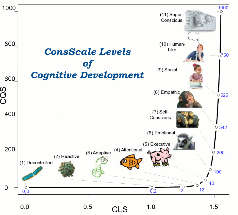 ConsScale Levels of Cognitive Development