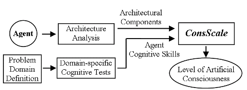 ConsScale Process